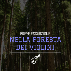 Breve escursione nella Foresta dei Violini 