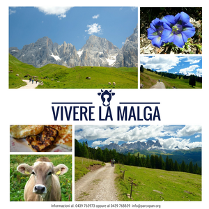 Vivere la malga