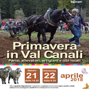 Primavera in Val Canali