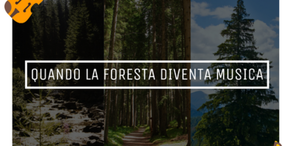 Quando la foresta diventa musica