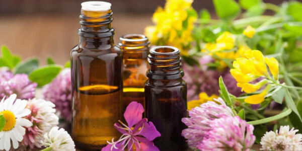 Laboratorio esperienziale di Fiori di Bach e carte DIXIT