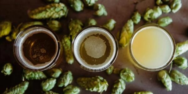 LA BIRRA: dalle ricette di Santa Ildegarda ai giorni nostri