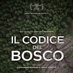 Il codice del bosco