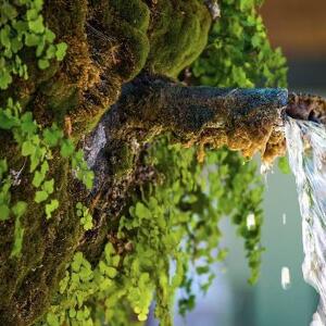 (Ri) Cominciamo dall'Acqua