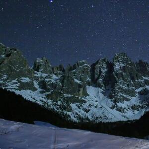 Sotto le Stelle nella Foresta dei Violini