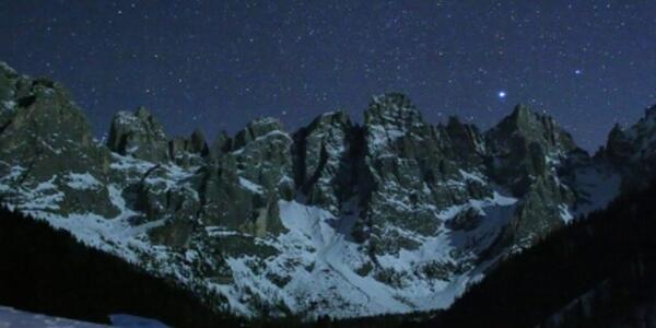 Sotto le Stelle nella Foresta dei Violini