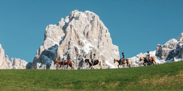 Le passeggiate a cavallo sotto le Pale di San Martino