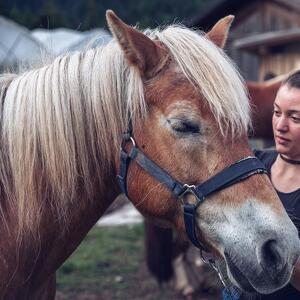 A Cavallo sulla Neve