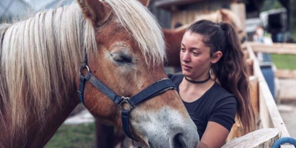 A Cavallo sulla Neve