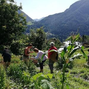 Il calendario delle semine
