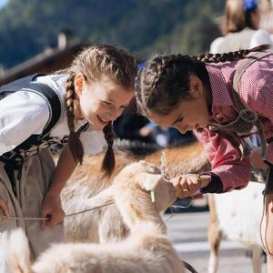 Gran Festa del Desmontegar: Atmosfere e Tradizioni Contadine