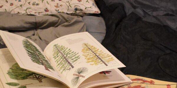 Il Parco in Famiglia