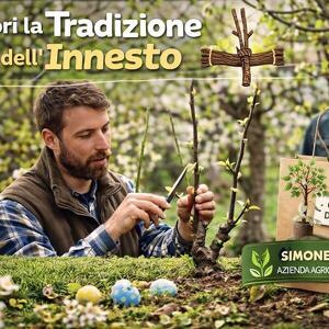 Corso pratico sulle tecniche di innesto