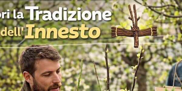 Corso pratico sulle tecniche di innesto