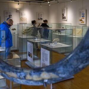 Accompagnamento a Palazzo delle Miniere