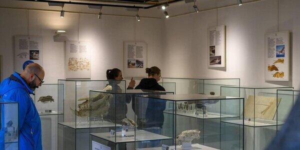 Accompagnamento a Palazzo delle Miniere