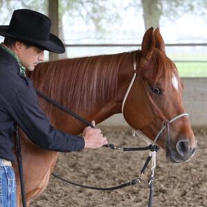 Clinic Gratuito di Osteopatia