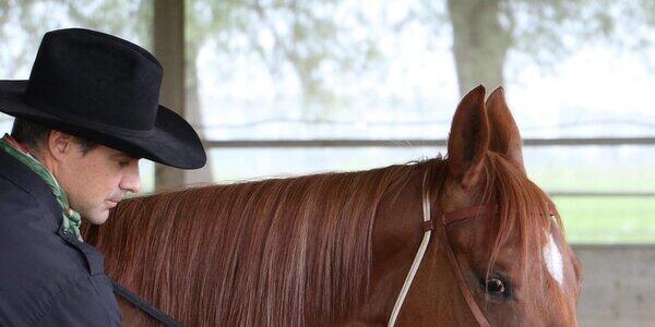 Clinic Gratuito di Osteopatia