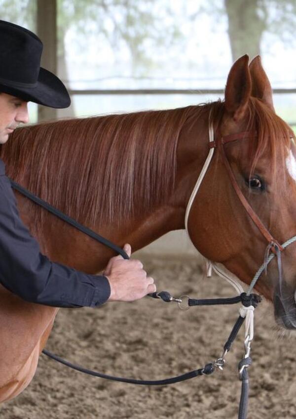 Clinic Gratuito di Osteopatia