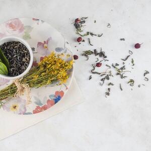Arte & Botanica