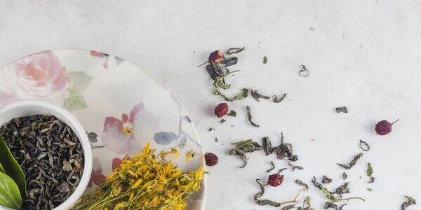 Arte & Botanica