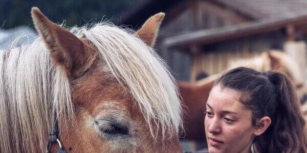 Il mio amico Pony