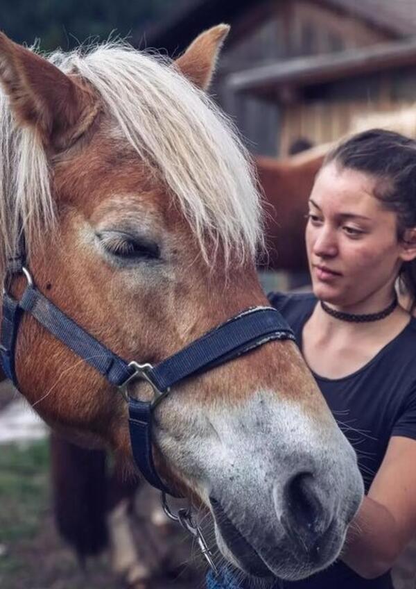 Il mio amico Pony