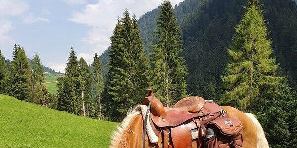 Le passeggiate a cavallo