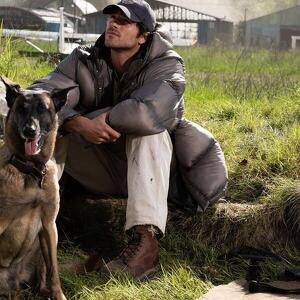 Cinema Primiero: The Dog Stars