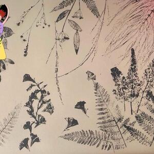 Stampa Botanica