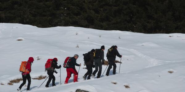 I segreti del bosco d'inverno