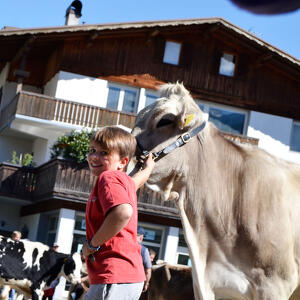 Mostra Concorso Bovina