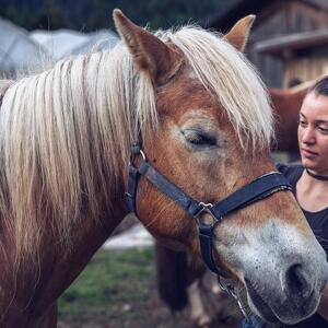 Il mio amico pony