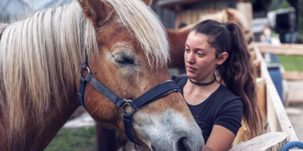 Il mio amico pony