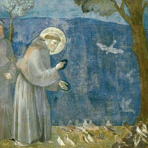 La bellezza e la profezia di San Francesco nella Divina Commedia