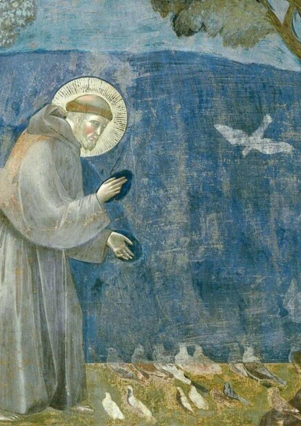 La bellezza e la profezia di San Francesco nella Divina Commedia