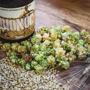 La birra: dalle ricette di Santa Ildegarda ai giorni nostri