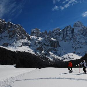 Winter Nordic Walking