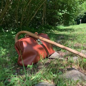 La pianta magica nel bosco