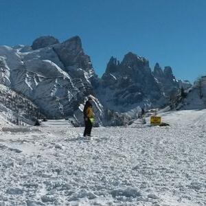 Sulla Neve con i Cani da Valanga