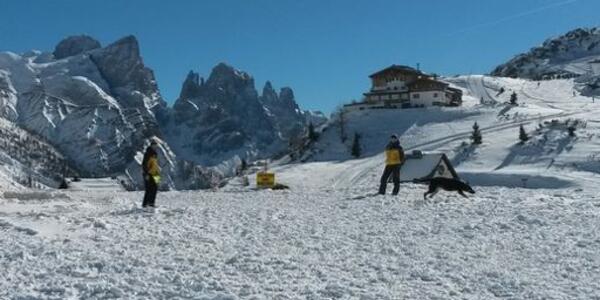 Sulla Neve con i Cani da Valanga