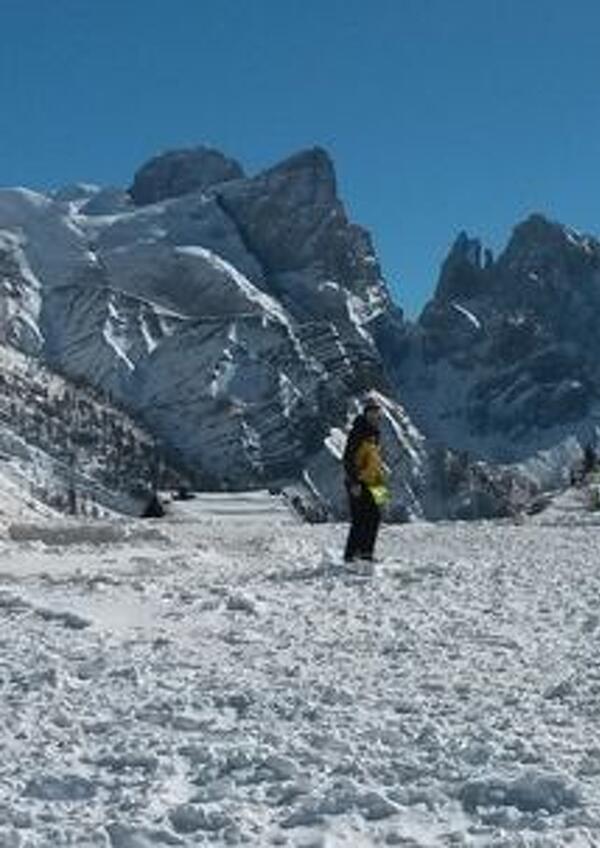 Sulla Neve con i Cani da Valanga
