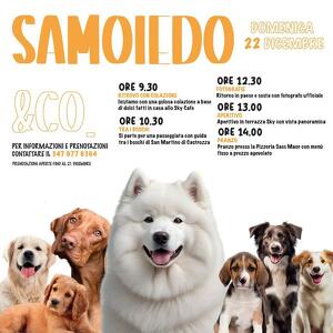 Raduno Samoiedo & Co.