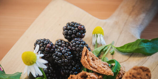 Picnic di Primavera