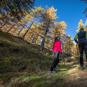 Fuori Rotta, tra Detox e Panorami Inediti