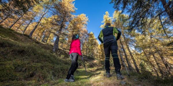 Fuori Rotta, tra Detox e Panorami Inediti