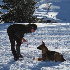 Sulla neve con i cani da valanga