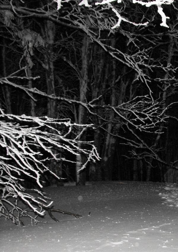 Escursione in notturna a Malga Coldosè