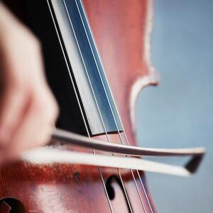 Primiero Dolomiti Festival