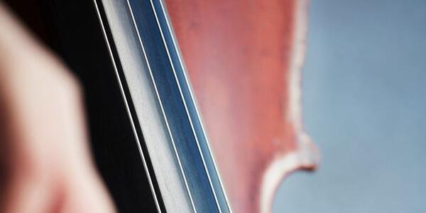 Primiero Dolomiti Festival